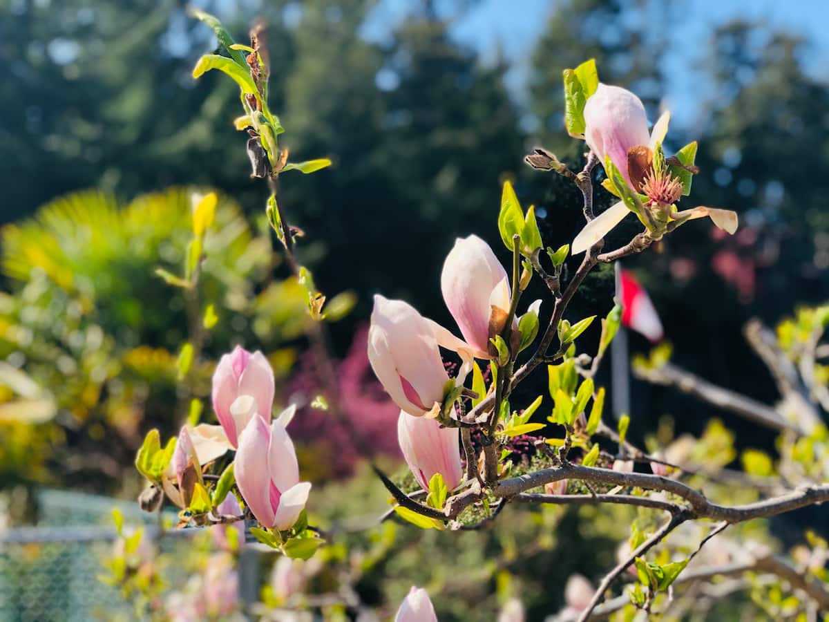 Our Rooms Madeira Park Ocean Villa